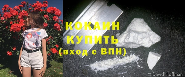 мет Сясьстрой