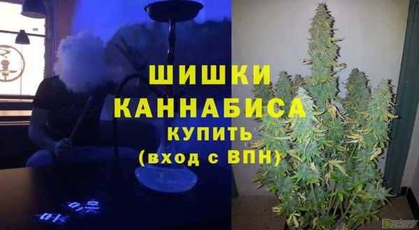 мет Сясьстрой