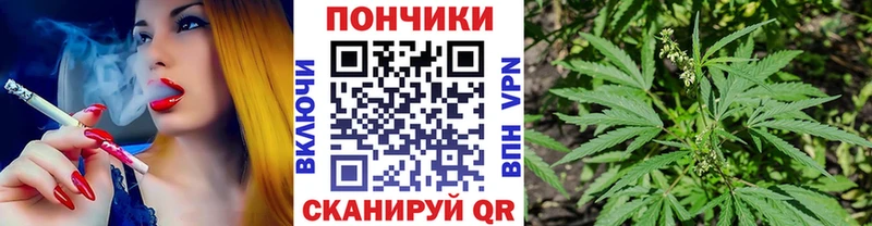 Купить где Лесной Каннабис гибрид